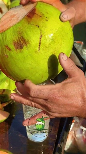 Meet The Coconut That Defies All Cutting Techniques