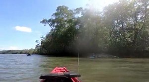 1.4K views · 23 reactions | Nuestro amigo y cliente Jonathan Sobalbarro vino la semana pasada por recomendaciones para pescar en el estero y entre los señuelos que le recomendamos están los Bomber Model A que son muy útiles ya sea para Casting y trolling, con unos colores muy buenos atractivos!!! Aquí les dejamos el video y en la siguiente publicación los Señuelos!!! #mangrove #mangrovefishing #redsnapper #redsnapperfish #purapescacr #costarica | Pura Pesca CR SA | Facebook