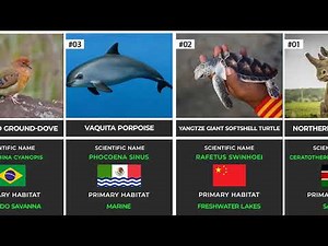 Top 50 Rarest Animals in the World | Extremely Rare & Endangered Species