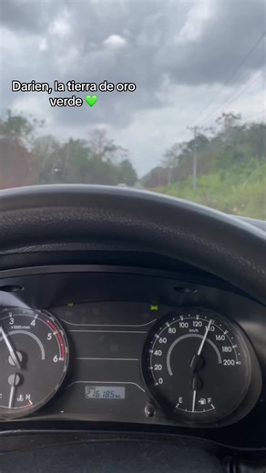 Videos de Alexander Valdes (@alexandervaldes75) con “NUEVA VIDA - Peso Pluma”