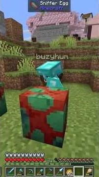 Mysterious Egg #minecraft #indonesia #japan