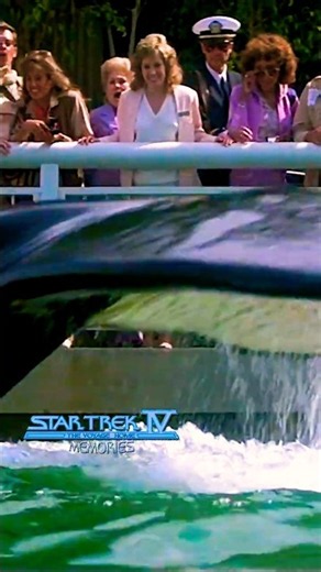 They will rescue the Earth - STAR TREK IV: THE VOYAGE HOME - #startrek