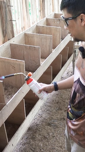 235K views · 2K reactions | Farming tips With CAUTION lang ta! Patay bunhok ug ubang virus ani! Happy farming tanan ❤️ | H3J Happy Backyard FARM | Facebook