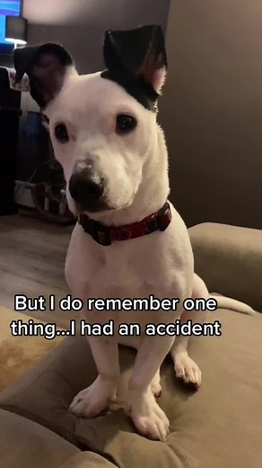 Confession: I Just Had an Accident - My Pants