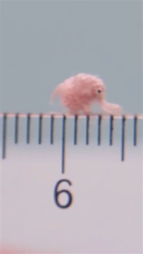 But how does Etsy Shop MicroCrochetArt even make something this small? 👏 | Etsy