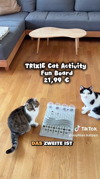 Sophias Katzen on TikTok