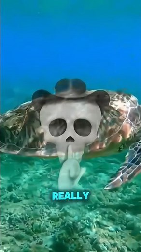 Dolphin 🐬 with their language !!#shorts #facts