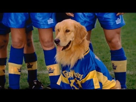 Air Bud World Pup 2000 VHS and DVD commercial