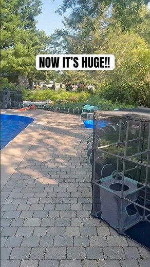 Every Cat Dreams of This Backyard… 🐾