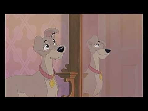 Lady And The Tramp II: Scamp’s Adventure: Tramp (2001) (30)