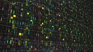 Video with digital trade network concept - Free Stock Video