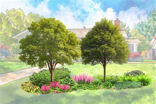 Perennial Shade Garden Planting Plan: Landscape Design Template (PDF Download) - Etsy