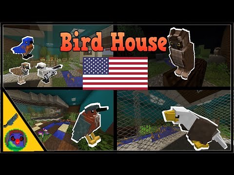 Birds of America | Bird House Minecraft