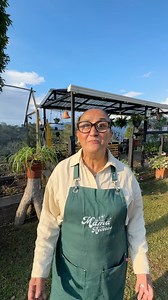 1.3M views · 51K reactions | Cómo hacer almojabanas muy fácil 說 | La Mamá De Las Recetas | Facebook