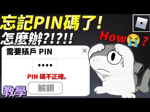 PIN碼忘記了怎麼辦？可以救回來嗎？當然可以！快來拯救你的賬戶PIN！【ROBLOX教學】