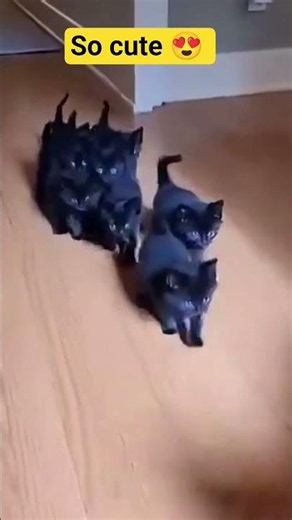 Mama says it's ok