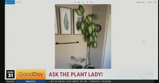 The Plant Lady, 9am Pt. 2 - 4/20