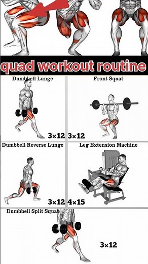 The Ultimate Quad Workout Routine