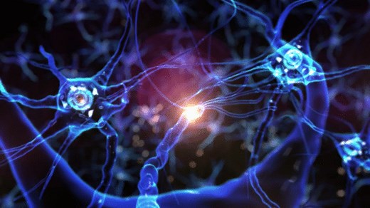 Neuroplasticity - An In-Depth Guide to Improving It
