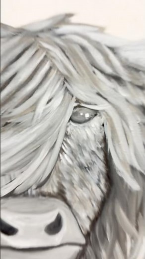 My highland cow painting from start to finish #cow#painting #reels #paint #acrylicpainting #animals