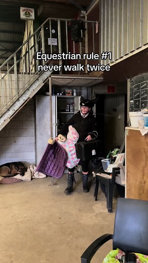 Equestrian Rule #1: Never Walk Twice