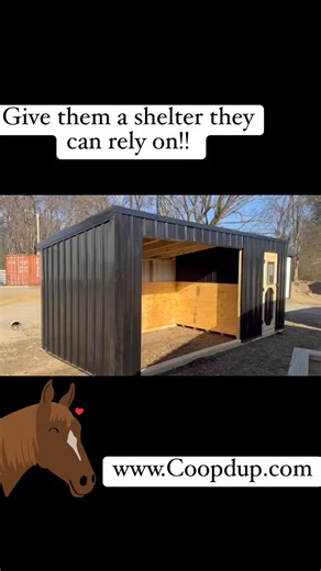Livestock Shelters are a perfect option for storage and to shelter them from inclement weather. Check them out at www.CoopdUp.com #livestockshelter #chickencoops #farm #duckcoop #chickenbreeds #chickencoop #supportlocalbusinesses #urbanfarming #beprepared2025 #livestock #coop #farming #smallflock #urbanfarmer #livestockshelters #LivestockFarming #farmlife #collectingeggs #urbanfarmhouse #urbanfarm #supportlocalbusiness #livestockfarming #raisingchickensformeat #raisingchickensnaturally #raisingc