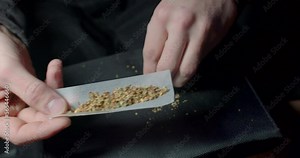 The hand pours tobacco and cannabis into the smoking mixture paper. He squeezes the roll with his hand, makes a self-made cigarette.