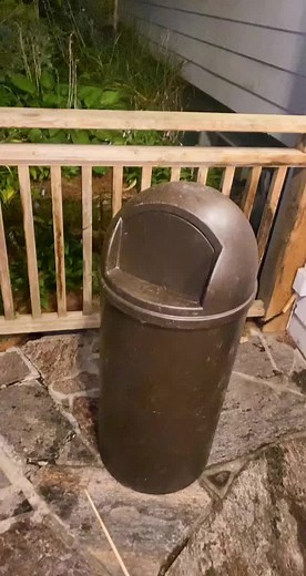 Unique Outdoor Trash Can Interaction at Night