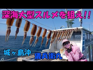 城ヶ島沖の深海スルメイカ釣り【スルメイカ釣り】【直結仕掛け】