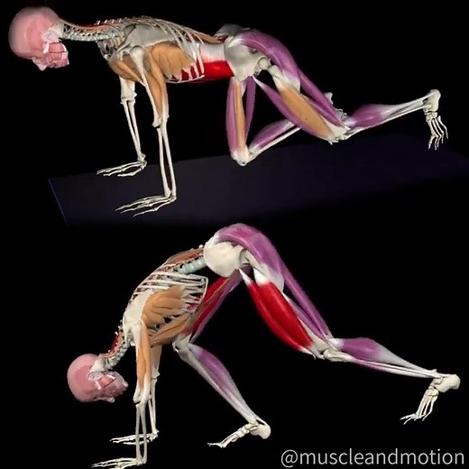 The different variations and goals of the MOUNTAIN CLIMBERS ⛰️