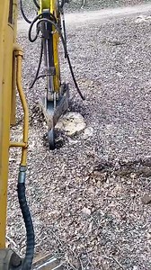 2.8K views | The process of digging a tree | Top Work | Facebook