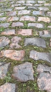 6.6K views · 53 reactions | 直 LA COURSE DES GOAT   Ce week-end,...