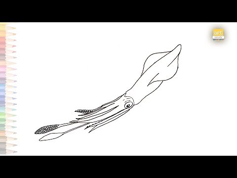 Giant squid animal drawing | Calamar gigante dibujo facil | How to draw Giant squid | easy drawings