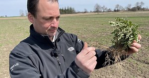 Soybean School: Warm winter creates spring weed challenges