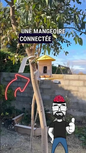 Mangeoire connectée avec intelligence artificielle Netvue Birdfy Feeder