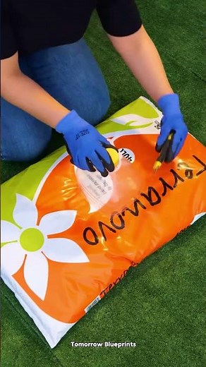 Easy & Smart Plant Growing Hacks You Shouldn’t Miss