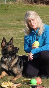 🐶 Love your dog, but not their manners? You’re not alone! Most dog owners struggle with behavior issues, often feeling frustrated to the point of tears. But there’s a better way! 🎉 The Top Dog Academy Community provides step-by-step training, live coaching, and a supportive network to help your dog become well-behaved, obedient, and a joy to be around. Stop the frustration and start seeing real change today! | Shannon Walker Dog Trainer