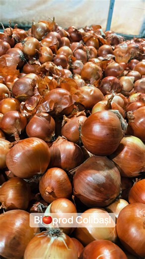 Procesul de sortare și ambalare a cepei proaspete