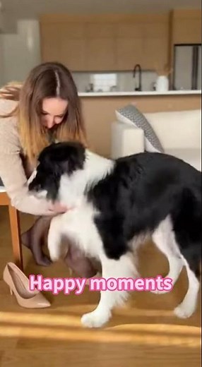 Workday over, best moment begins 🐾✨