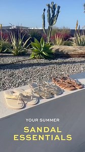 5.8K views | Your Summer Sandal Essentials: Our Leather Gladiator Sandals and shell leather flip flops. | Sosandar | Facebook