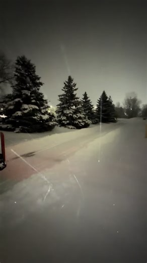 Efficient Snow Plowing with a Skid Steer