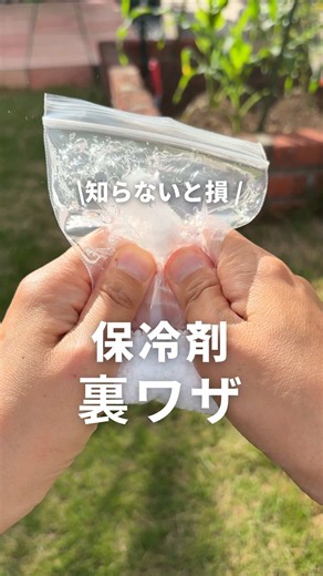 こんばんは🌿ゆぴです！ ⁡ @yupi_kurashi ⁡ これからの季節、 保冷剤って必須アイテムだよね😳✨ ⁡ 実はおうちにあるもので “ひえひえキープ”できる裏ワザあるよ👇 ⁡ 【長持ち保冷剤❄️】 ⁡ スポンジを濡らして凍らせるの有名だけど… 吸水スポンジを使うと 水たっぷり吸うから長持ちするよ🧊 セリア 超吸水スポンジ🧽110円 吸水量200ml！ JANコード 4573150333213 ⁡ 帰りは水を絞れば荷物も重くならない✨ ⁡ 【使いたい時にすぐ冷え冷えになる保冷剤✨】 ⁡ 薄手のビニール袋に水40ml入れたら 空気をしっかり抜いて縛る！ 余ったところをカット。 チャック付き袋を用意したら 魔法の粉を40g入れる。 水をの袋を入れてしっかり封をする ギュッと押すだけで 一瞬でキンキンに冷える😳✨ ⁡ 魔法の粉は🪄