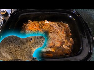 How to Cook NUTRIA in a Crock Pot!!!