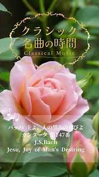 【1分クラシック】バロック名曲集 #クラシック #リラックス #朝