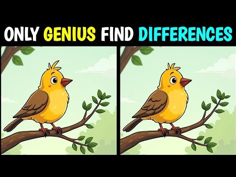 Spot The 3 Differences | Very Hard Challenge | Find The difference Puzzle #30 | Brain Boss