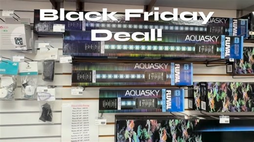 Big deal alert! We are taking 30% off of all the 3rd Generation Fluval LEDs. These are completely controllable using Fluvals free app. Easy to set up and use. This deal is good from now u til the end of Black Friday! #reeftank #aquariumhobby #blackfriday | Exotic Aquatics Inc.