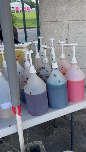 Here we go again 🤣 | David Davis