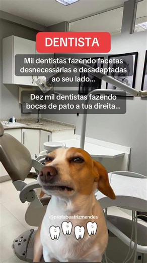 Dor orofacial | DTM | Bruxismo | CEMDOR | Florianópolis on Instagram: "😳😬😬 #meme #vidadedentista #dentista #odontologia #atm casal.atm evidência cientifica odontologiadisfunçãotemporomandibular dtm dororofacial dtmarticular dor bruxismo multifatorial AUTOCUIDADO orodor clinicaorodor drabeatrizmendes placaoclusal profabeatrizmendes"