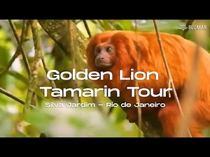 Golden Lion Tamarin Ecological Park