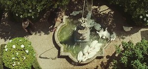 31K views · 2.5K reactions | Debuting the Gucci Epilogue campaign...